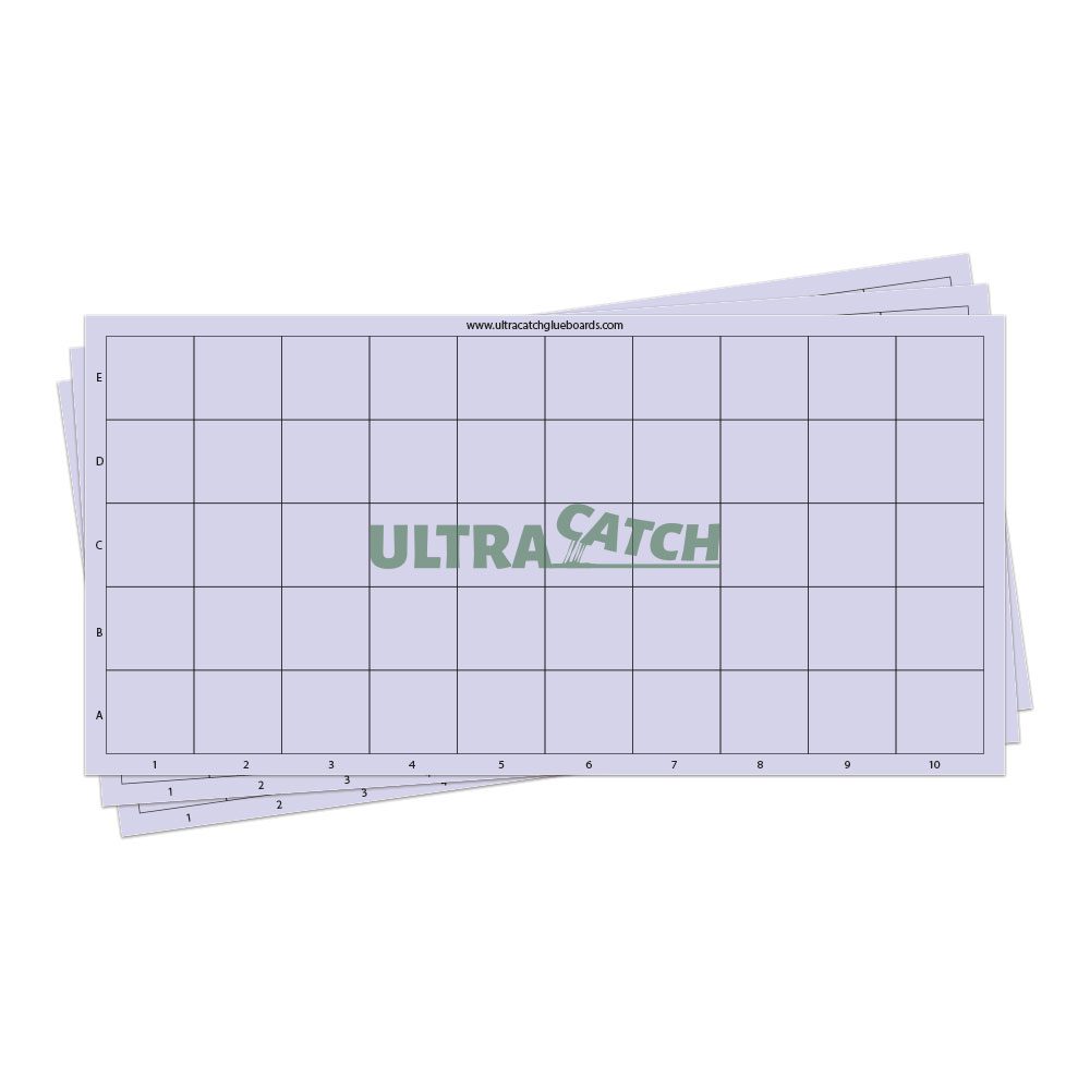 ULTRACATCH Lámina Adhesiva Control Insectos Voladores 44x22